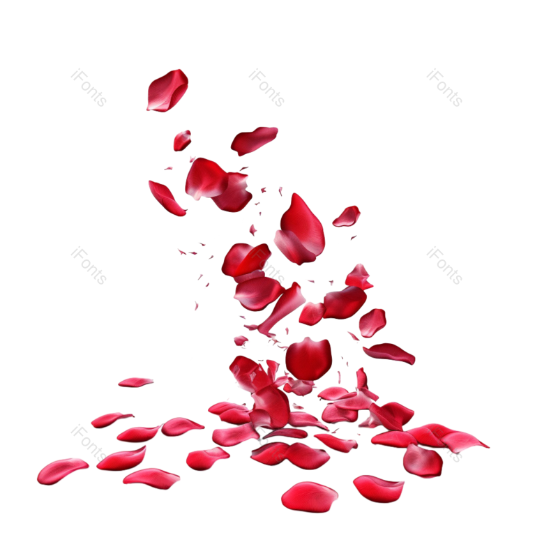 元素图片,玫瑰花元素,浪漫PNG,红玫瑰免抠素材